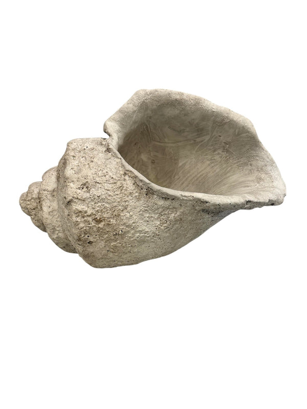 Casts Concrete Conch Shell - Anecdote