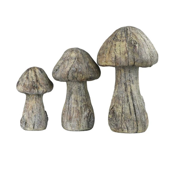 Gilly Mushrooms - Anecdote