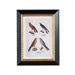 Luccello Matted Frame - Anecdote