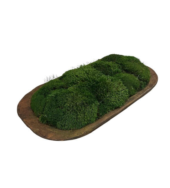 Wide Dough Bowl filled with Preserved Moss