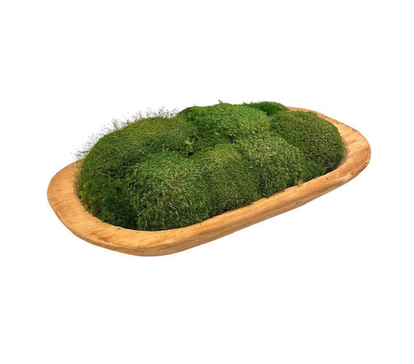 Wide Dough Bowl filled with Preserved Moss