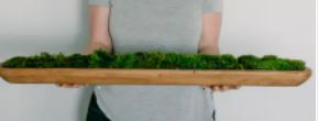 Extra Large Dough Bowl with Moss