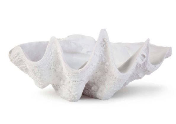 Bimini Clam Bowl - Anecdote
