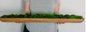 Extra Large Dough Bowl with Moss - Anecdote