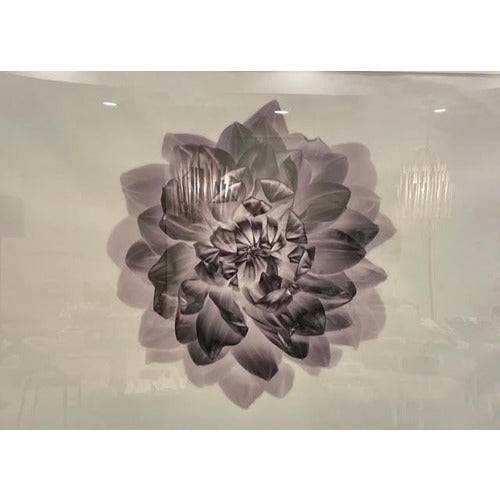 Flowers by Andrea Martirandonna - Anecdote