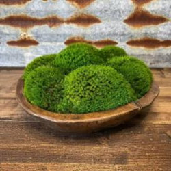 Round Dough Bowl with Moss